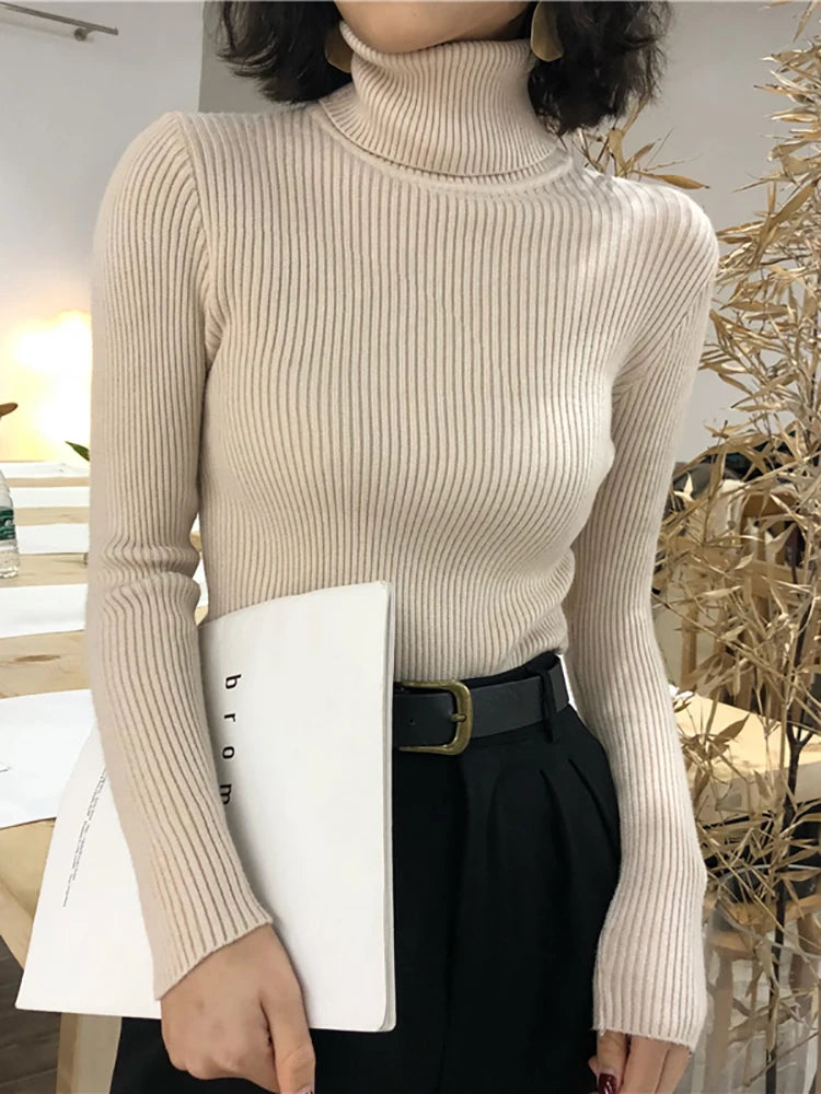 Turtleneck Sweater Women