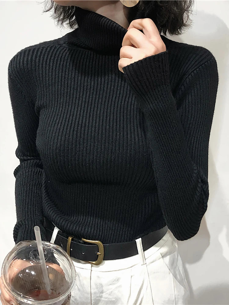 Turtleneck Sweater Women